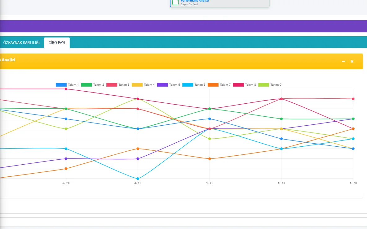 Executive 2.0'da şirketlerin dönemler boyunca sonuçlarını gösteren çizgi grafik